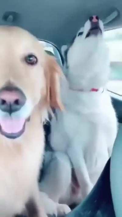 When you're with your extraverted friends