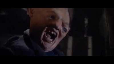 David Attenborough northern ireland