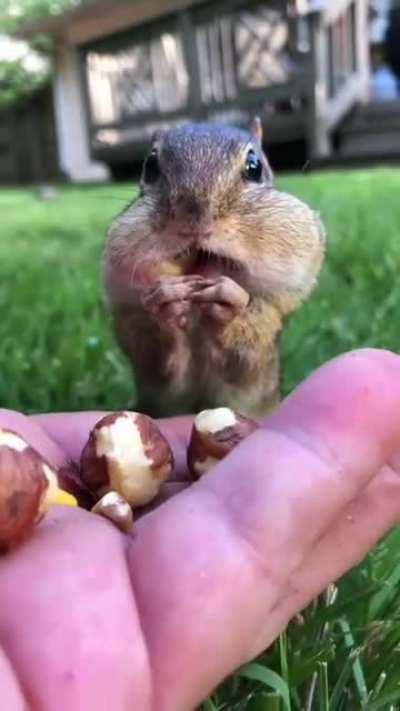 Thought this belonged here