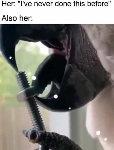 Pffft. First time huh...?