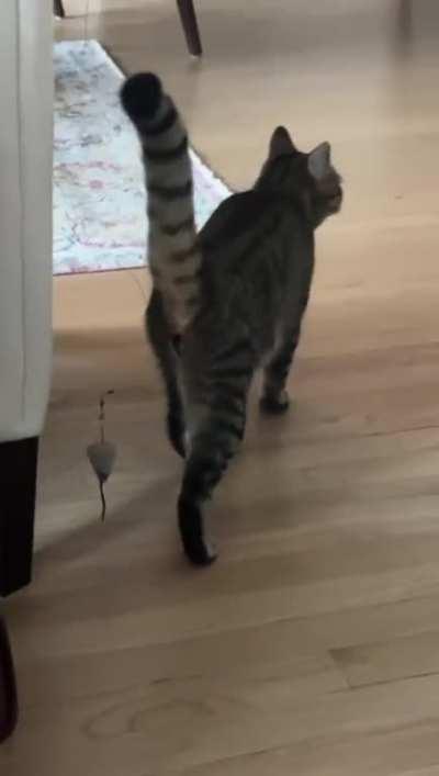 Does squeaking like a monkey count?