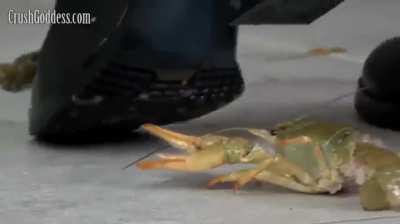 Marina Crush Goddess - Bug Crushed