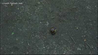 For Fair-difficulty 2828