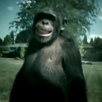 Kids throwing eggs..