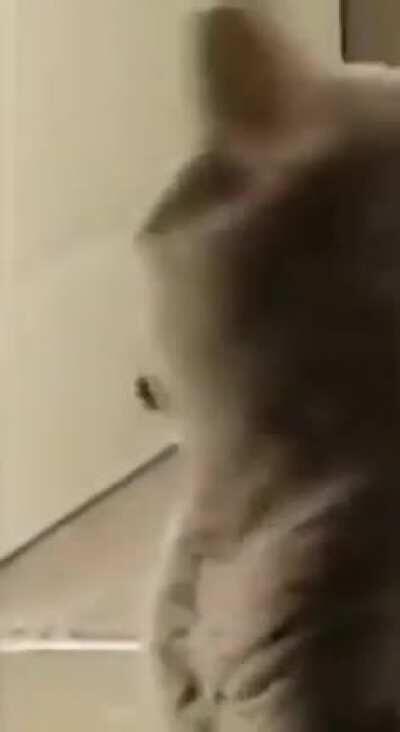 German neighbor not having a great day