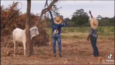 Bad world for good people :'D