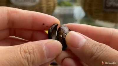 Изготовление шоколада