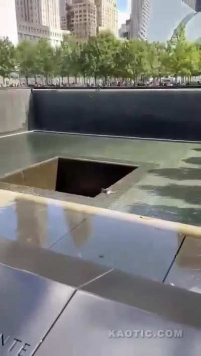 Onlookers horrified as man crawls into the 9-11 memorial