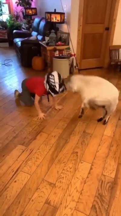 Kids found a way to have fun