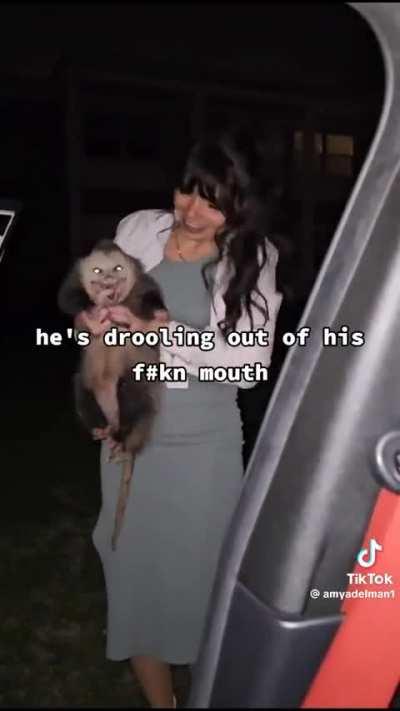 Possum playing possum