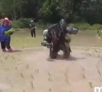 When your ship is damaged, so you have to do side missions to repair it and continue your intergalactic hunt...