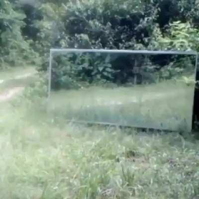 When monkey goes OO OO AGHAA