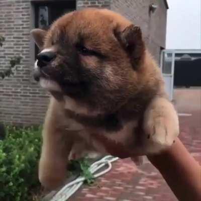 I believe I can fly...