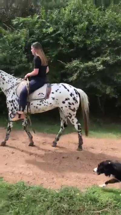 I think im going to buy her!! what do we think??