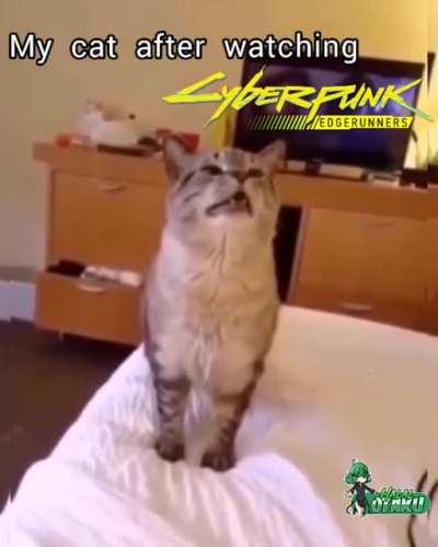 i don't wanna lose her...