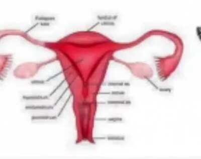 Imagine still believing in “women”