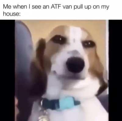 Turn on the gasoline sprinklers and hand me flare