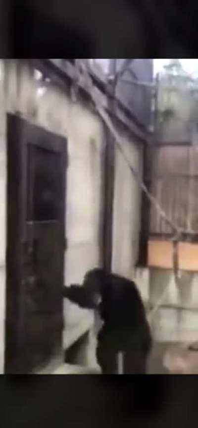 Day 2 of posting until I get Ternion All-Powerful and escape Pyro's basement