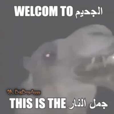 [OC] BOOBA HARAM اتستري يا شرموطه