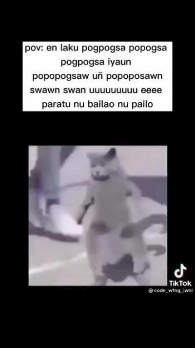 Pov: en laku pogpogsa