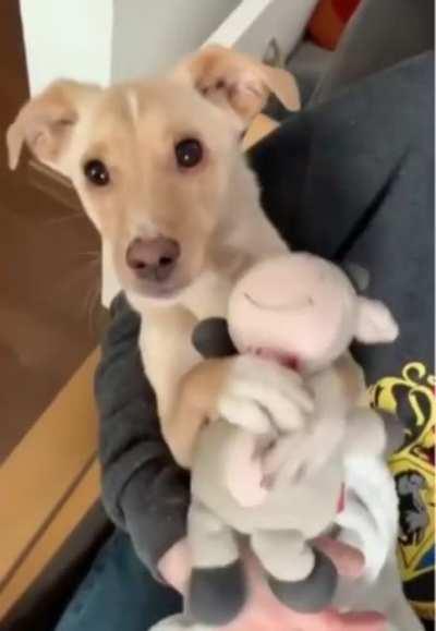 Those eyes are making my Heart Melt!!