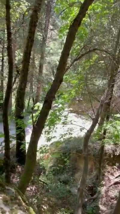 A trail quickie 🤫