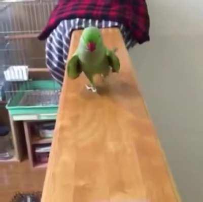 Go off, gurl! Werk it, werk it. Beautiful, the camera luuuvs you. Get it gurl! 📸👏 🤩