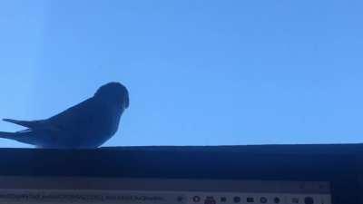 A glitch in the matrix