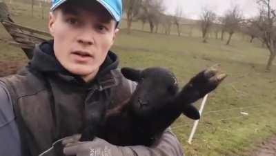 Mladddd Ustaša pod barjakom