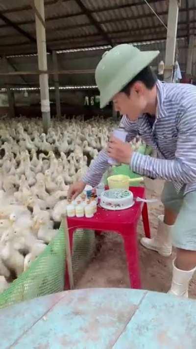 When the lockdown doesn't allow you to play for a crowd, you make do