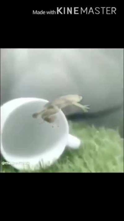 cursed_ᗩᗩᗩᗩᗩ