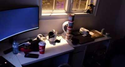 POV: No Nut November ended 0.00032 milliseconds ago