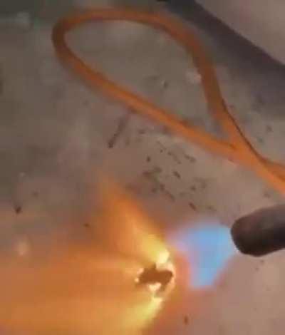 Igni, The Cockroach Slayer.