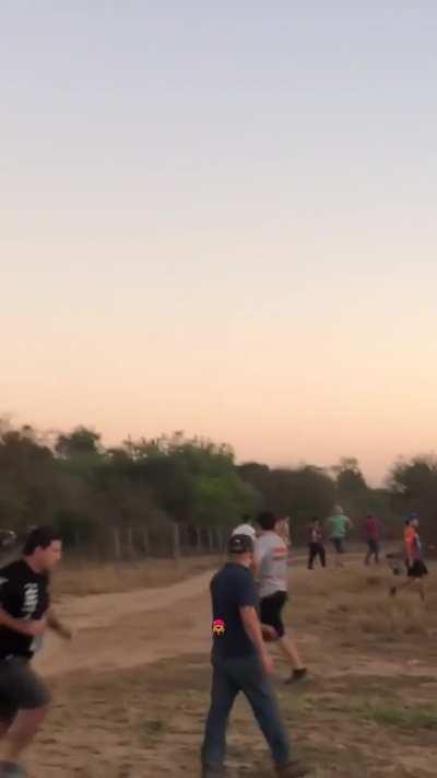 What's that in the sky? It's a bird, it's a plane, it's.