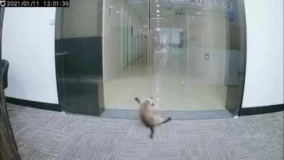 Like my mom hitting me after saving me form the trouble I make