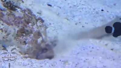 puuuğğğğhhhhh.mp4