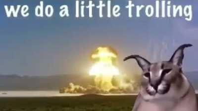 Floppa visits Japan 😲😳😳😳😳