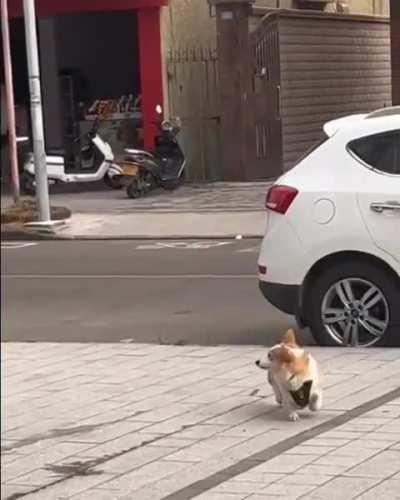 Omg you see that ghost??