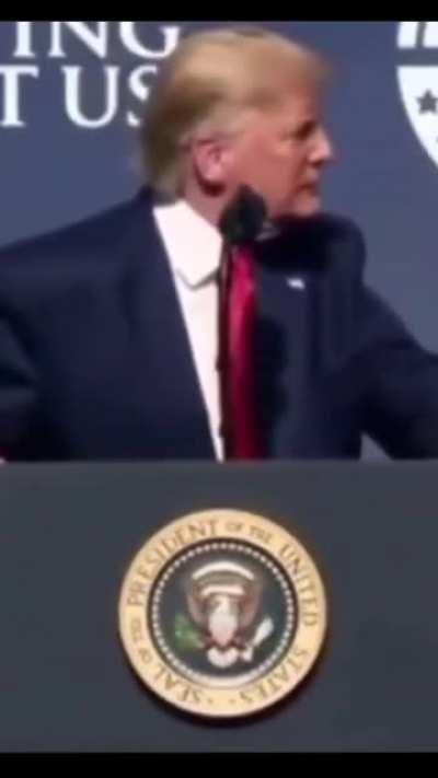 Trump the Bratty Sub