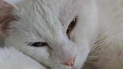 Complicado arrancar este lunes