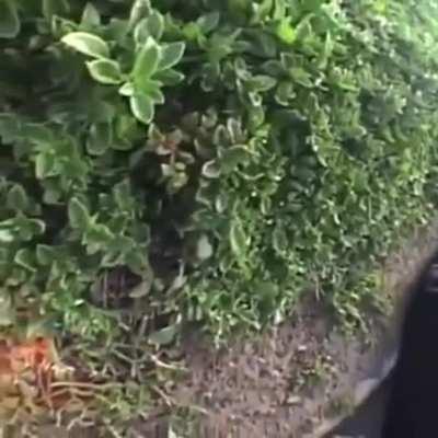 Helmets are your friend.