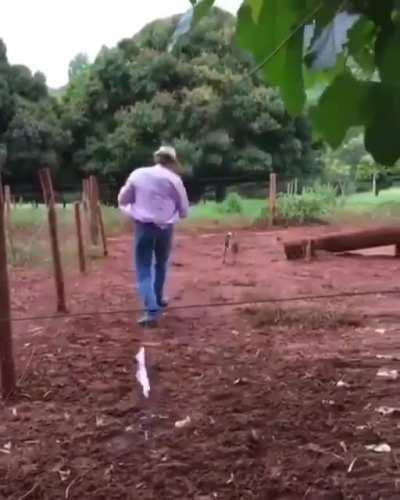 After the first bite attempt should have been your sign