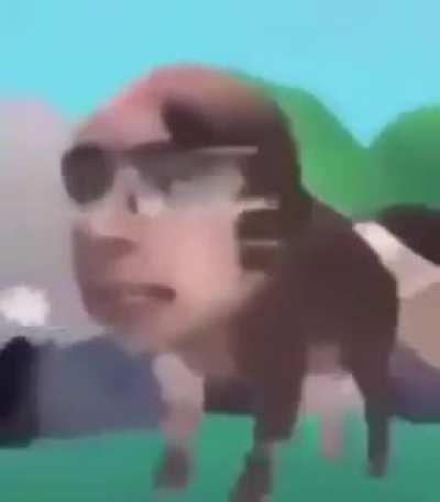 idk even know what the fuck this is