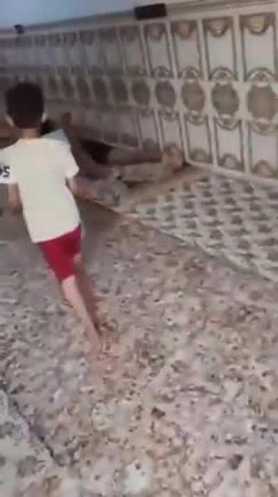 Well done camera man.