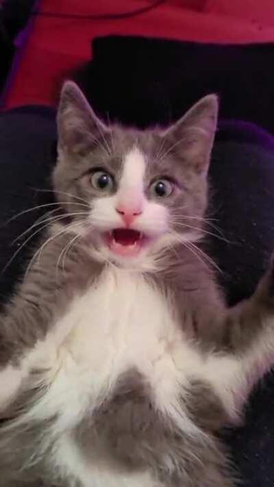 An interesting title