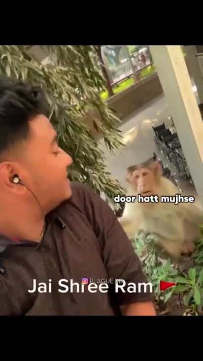 Monkeys are Shree Ram bhakts, because they member what their ancestors did along with Him in Treta Yuga. Jai Jai Shree Ram