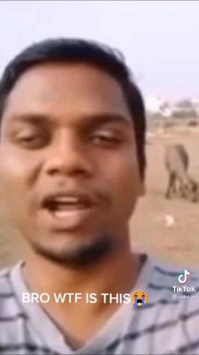 fortnite burger gang