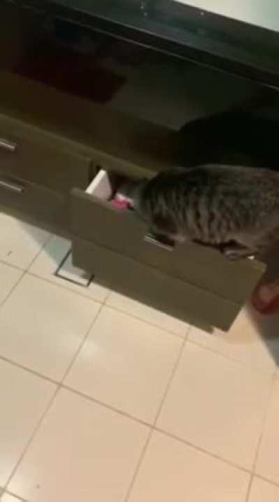 She Was Never Seen Nor Heard From Again...