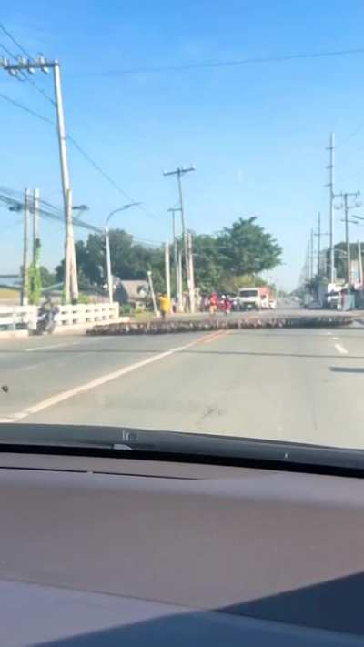 WALANG IWANAN ANG ATAKE 🦆