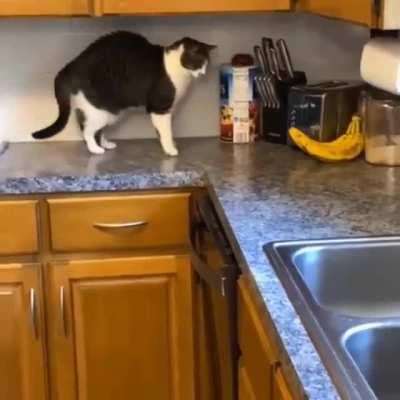 I HATE THESE !$#%* BANANAS!!!